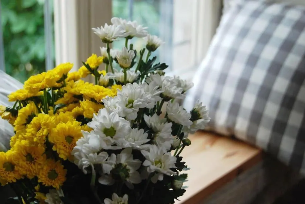 Apartament Stay In The Heart Of Kraków
